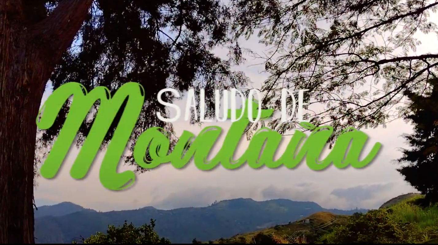 Captura de video