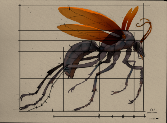 Cazatarantulas - Andres Dias