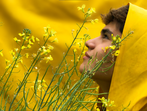 JUAN SEBASTIÁN  TOVAR TUNUBALÁ - Color (Amarillo)