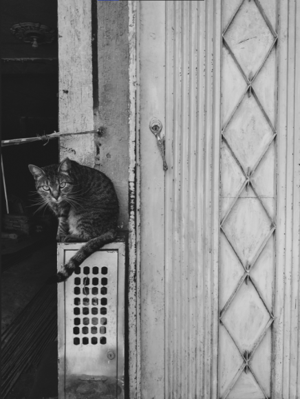 Stefania Llantén-  Henry Cartier Bresson 2