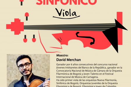 Taller Sinfónico David Merchán, Viola.